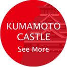 KUMAMOTO CASTLE See More